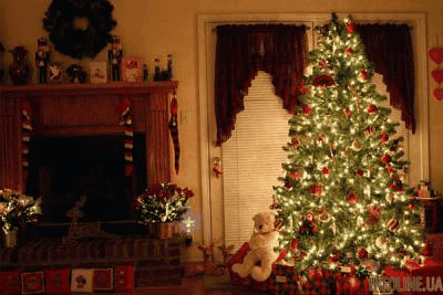 В Украине начинается продажа новогодних елок: названы цены