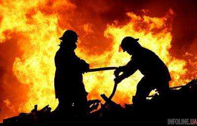 Авиакатастрофа в России: погиб олигарх, глава известной компании