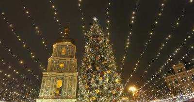 Главную елку страны не пустили в Киев: подробности