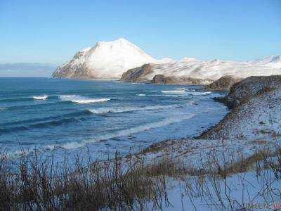 В России трупы жутких монстров усеяли берега. Опубликованы фото невероятных существ