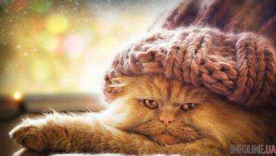 Сегодня в Украине в мокрый снег и потепление