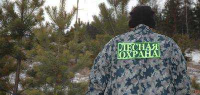 Браконьеры таранили джипом автомобиль лесников в Ровенской области