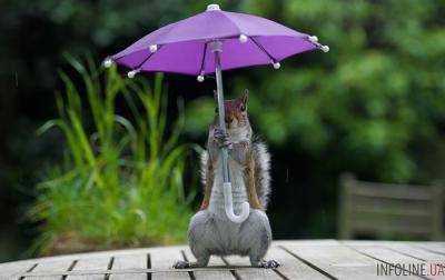 Зима продолжается: в Украине ожидается дождь