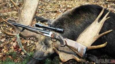 Была беременна двойней: украинцев шокировало жестокое убийство лосихи под Киевом