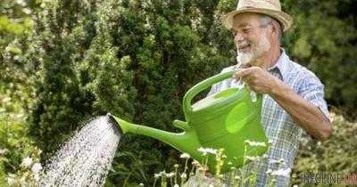 Посмертный пранк: мужчина узнал страшную правду о последней просьбе любимой