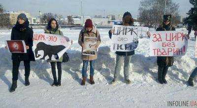 Во Львове на акции за цирк без животных, полиция задержала активистов