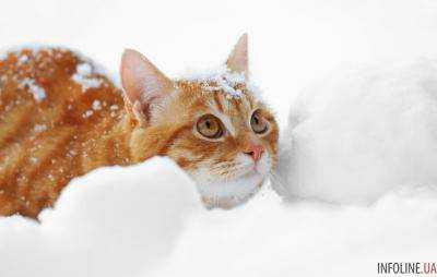 Сегодня в Украине ожидается сухая погода