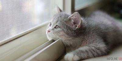 В Украине ожидается теплая погода