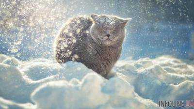 На Украину надвигается мощный циклон