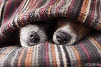 Синоптики предупреждают об ухудшении погоды: карты