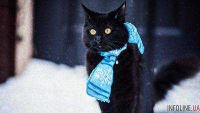 Зима возвращается: в Украину пришел снежный циклон, к чему готовиться