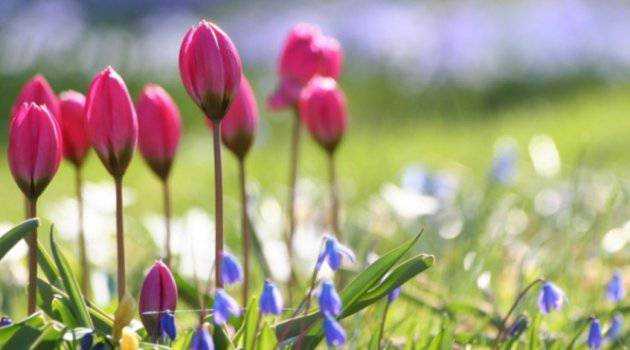 На Україну насувається циклон з Балкан