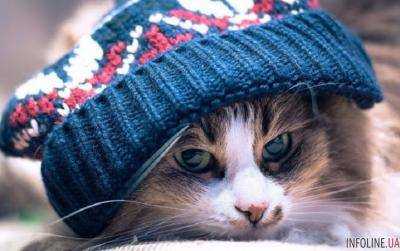 В Украине ожидается похолодание