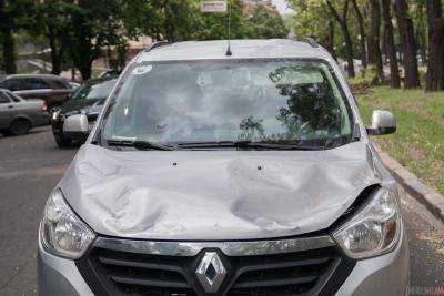 Деревопад в Днепре: из-за упавшего на авто дерева у водителя случился гипертонический криз