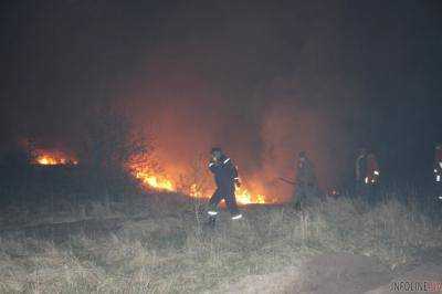 В ГСЧС не исключили вероятный поджог в зоне отчуждения