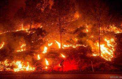 В Калифорнии бушуют лесные пожары