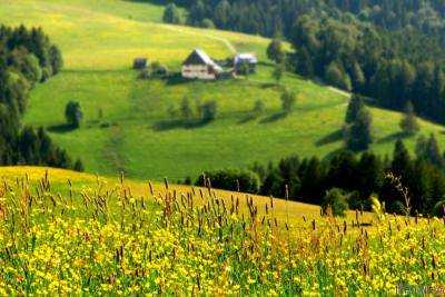 +9 и яркое солнце:  прогноз по потеплению в Украине