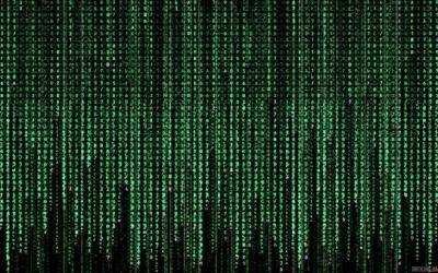 В США составят список запрещенного программного обеспечения для блокировки исходного кода из РФ