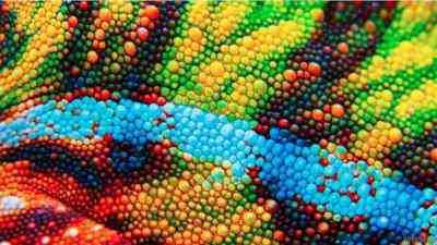 В Китае создали цветную искусственную электронную кожу