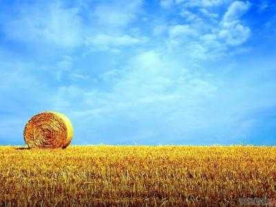 Завтра в Украине сухо и солнечно