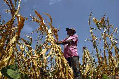В Скандинавии бьют тривогу из-за аномальной засухи