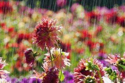 Сойдутся две стихии: синоптики предупредили об изменении погоды в Украине