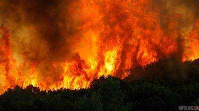 Масштабный лесной пожар близ Берлина: сотни людей эвакуировали