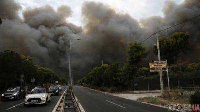 Лесные пожары в Греции: увеличилось количество погибших