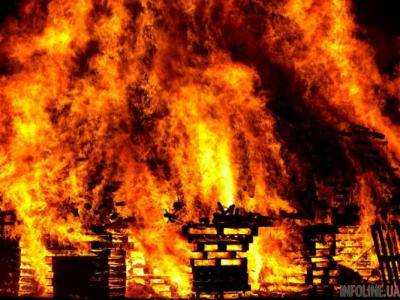 Возле Санкт-Петербурга масштабный пожар: очевидцы сообщают о взрывах