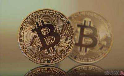 Биткон спровоцирует катастрофу на Земле: людям и животным не поздоровится
