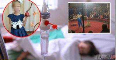 В России 4-летняя девочка после нападения львицы в цирке впала в кому.Видео