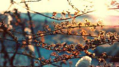 В Украине ожидается сухая погода