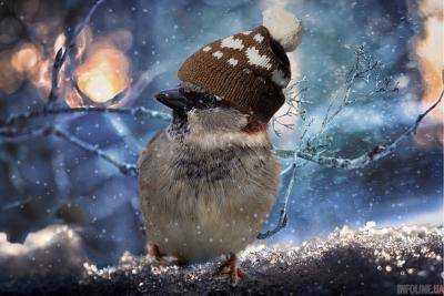 Погода испортит украинцам всю неделю: точный прогноз на 19-25 ноября