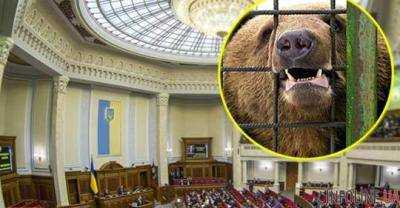 "Им плевать": в сети возмущены провалом важного зоозащитного законопроекта