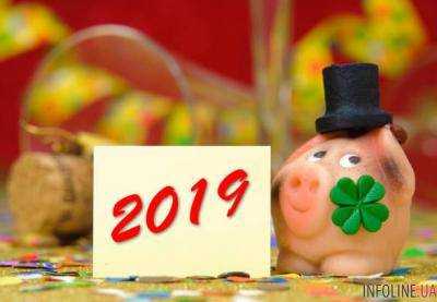 Как "не подложить свинью" ко дню Святого Николая: совет от НАПК