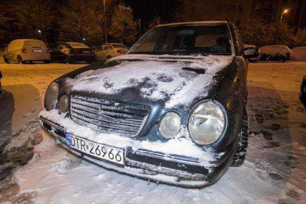 В Киеве попытка украсть елку закончилась дракой на ножах и топорах