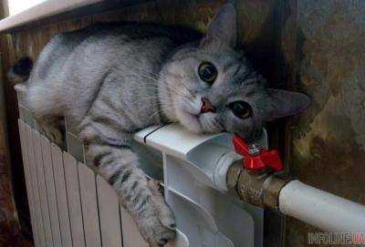 Коммунальный ад или как уменьшить оплату за отопление, если батареи едва теплые: советы эксперта