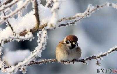 В Украине завтра ожидается незначительное потепление