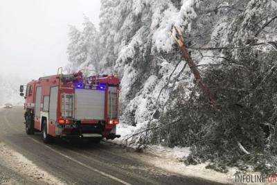 На Закарпатье снегопад обесточил 16 населенных пунктов
