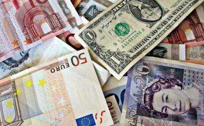 На 5 февраля  официальный курс гривны установлен на уровне 27,42 грн/доллар