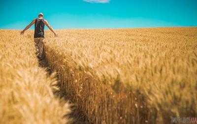 Закон о продлении моратория на продажу с/х земель официально опубликован