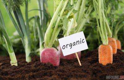 Закон об информации относительно пищевых продуктов официально опубликован