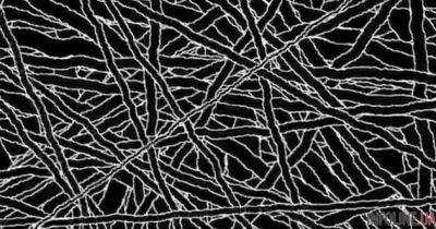 Психоэксперимент: в сеть попало жуткое видео, причиняющее реальную боль.Видео