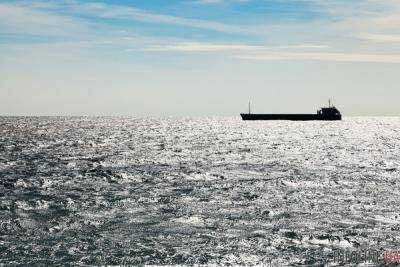 Украинцам запретили ловить камбалу в Черном море