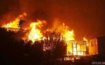 Лесные пожары охватили Чили