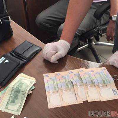 Чиновницу столичной ГМС поймали на взятке