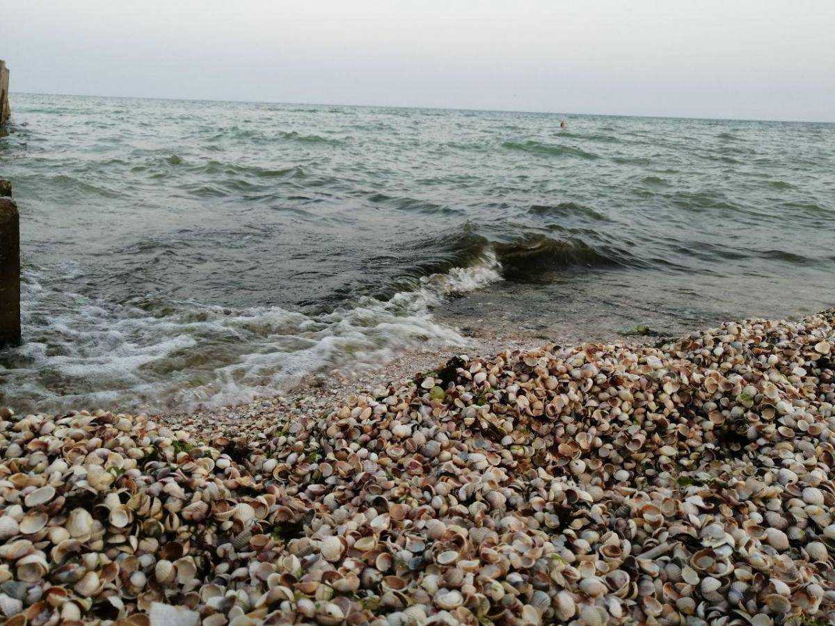 У Кирилівці туристів на надувному матраці винесло у відкрите море