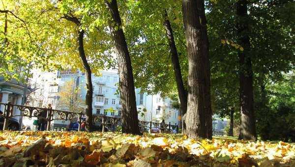 Похолодание никто не отменял: синоптики уточнили прогноз по Украине