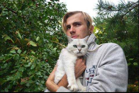 Никогда так не делайте, если у вас есть кот