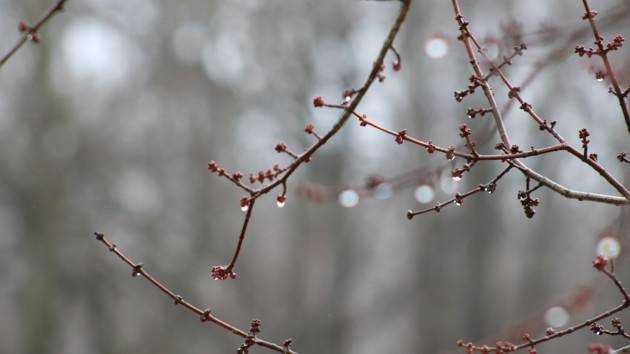 Гидрометцентр обновил прогноз погоды на сегодня